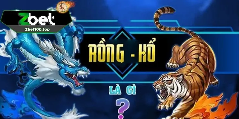 Hướng dẫn chơi rồng hổ online zbet cho người mới